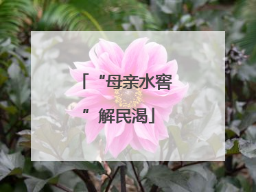 “母亲水窖”解民渴