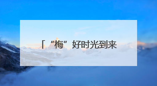 “梅”好时光到来！杨梅开始上市，产量丰富价格亲民