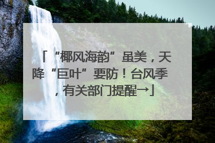 “椰风海韵”虽美，天降“巨叶”要防！台风季，有关部门提醒→