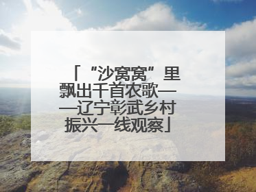 “沙窝窝”里飘出千首农歌——辽宁彰武乡村振兴一线观察