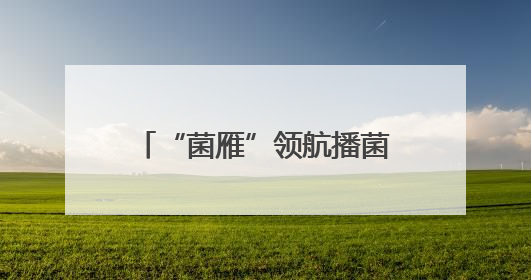 “菌雁”领航播菌种 山西垣曲望仙村椴木成金绘振兴