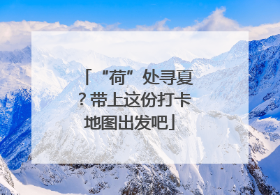 “荷”处寻夏？带上这份打卡地图出发吧