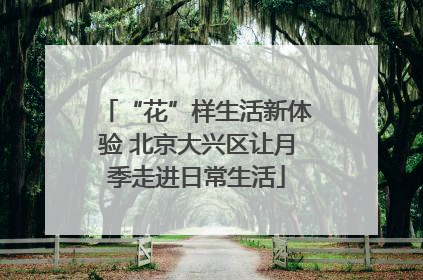 “花”样生活新体验 北京大兴区让月季走进日常生活