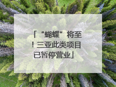 “蝴蝶”将至！三亚此类项目已暂停营业