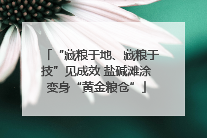 “藏粮于地、藏粮于技”见成效 盐碱滩涂变身“黄金粮仓”