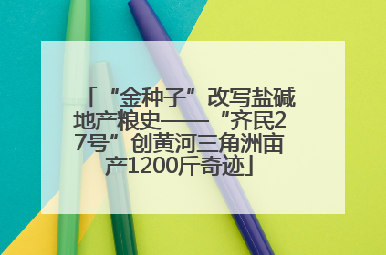 “金种子”改写盐碱地产粮史——“齐民27号”创黄河三角洲亩产1200斤奇迹