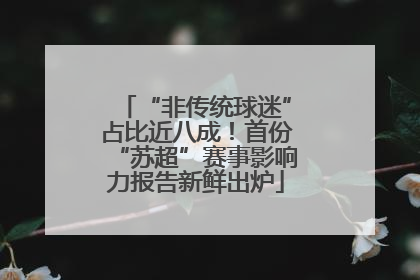 “非传统球迷”占比近八成！首份“苏超”赛事影响力报告新鲜出炉