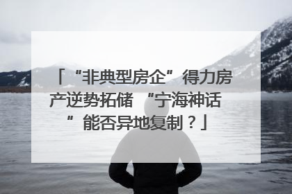 “非典型房企”得力房产逆势拓储 “宁海神话”能否异地复制？