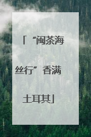 “闽茶海丝行”香满土耳其