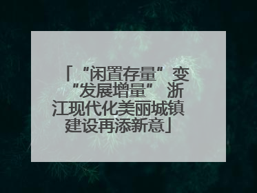 “闲置存量”变“发展增量” 浙江现代化美丽城镇建设再添新意