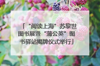 “阅读上海”苏黎世图书展暨“蒲公英”图书驿站揭牌仪式举行