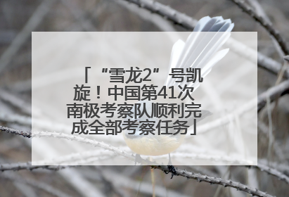 “雪龙2”号凯旋！中国第41次南极考察队顺利完成全部考察任务