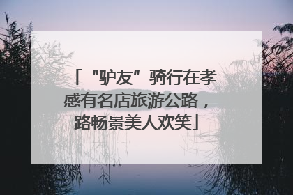 “驴友”骑行在孝感有名店旅游公路，路畅景美人欢笑
