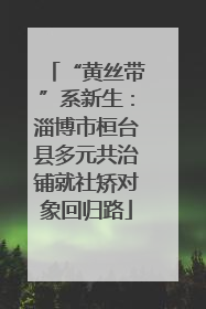 “黄丝带”系新生：淄博市桓台县多元共治铺就社矫对象回归路