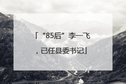 “85后”李一飞，已任县委书记