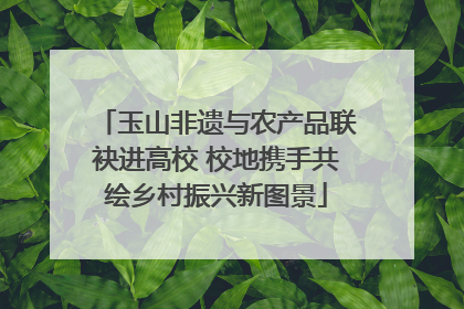 玉山非遗与农产品联袂进高校 校地携手共绘乡村振兴新图景