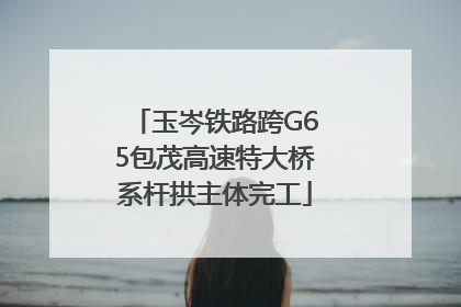 玉岑铁路跨G65包茂高速特大桥系杆拱主体完工
