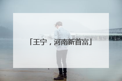 王宁，河南新首富