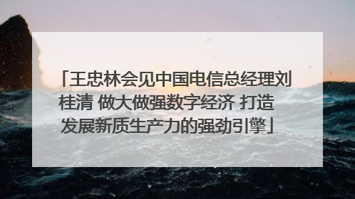 王忠林会见中国电信总经理刘桂清 做大做强数字经济 打造发展新质生产力的强劲引擎