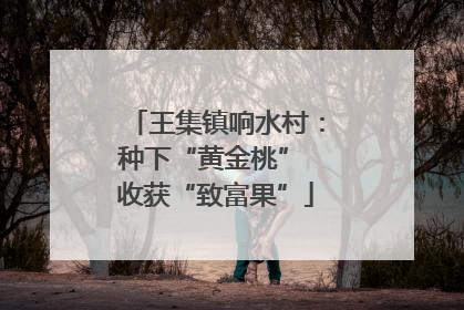 王集镇响水村：种下“黄金桃” 收获“致富果”