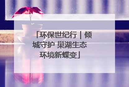 环保世纪行｜倾城守护 巢湖生态环境新蝶变
