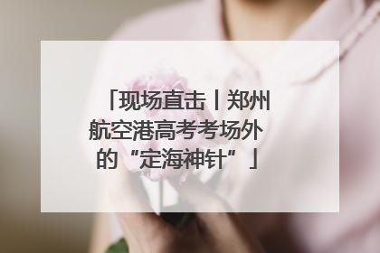 现场直击丨郑州航空港高考考场外的“定海神针”