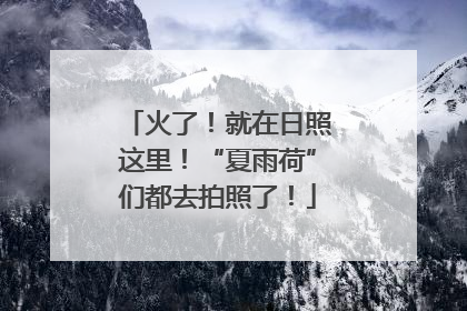火了！就在日照这里！“夏雨荷”们都去拍照了！