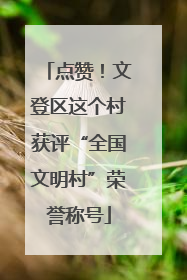 点赞！文登区这个村获评“全国文明村”荣誉称号