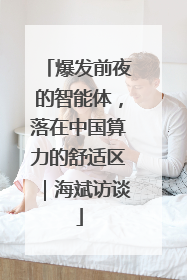 爆发前夜的智能体，落在中国算力的舒适区｜海斌访谈