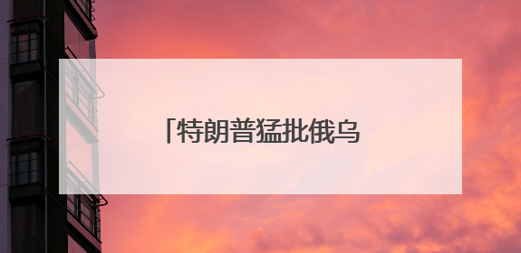 特朗普猛批俄乌两国总统 美媒：迄今最严厉批评