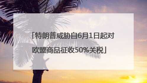 特朗普威胁自6月1日起对欧盟商品征收50%关税
