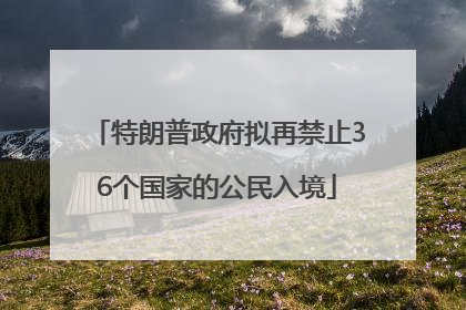 特朗普政府拟再禁止36个国家的公民入境