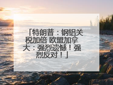 特朗普：钢铝关税加倍 欧盟加拿大：强烈遗憾！强烈反对！