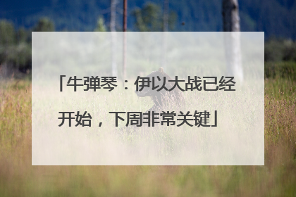 牛弹琴：伊以大战已经开始，下周非常关键
