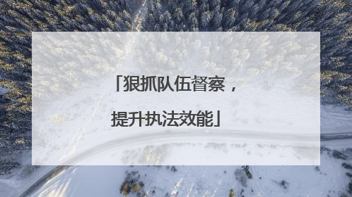 狠抓队伍督察，提升执法效能