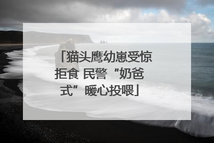 猫头鹰幼崽受惊拒食 民警“奶爸式”暖心投喂