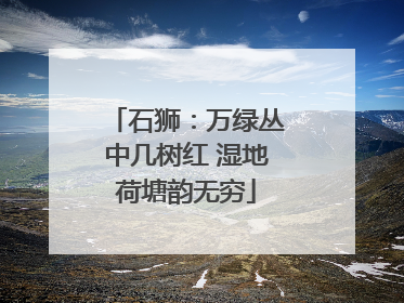 石狮：万绿丛中几树红 湿地荷塘韵无穷