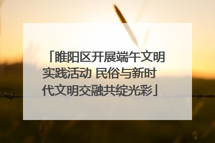 睢阳区开展端午文明实践活动 民俗与新时代文明交融共绽光彩