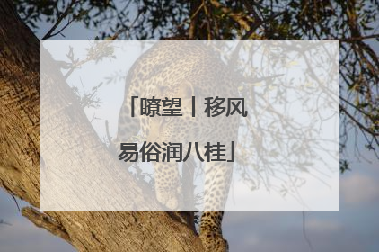 瞭望丨移风易俗润八桂