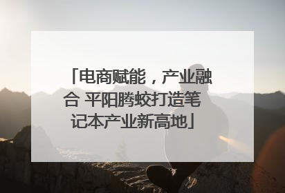 电商赋能，产业融合 平阳腾蛟打造笔记本产业新高地