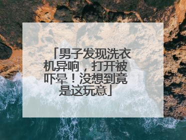 男子发现洗衣机异响，打开被吓晕！没想到竟是这玩意
