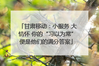 甘肃移动：小服务 大情怀 你的“习以为常”便是他们的满分答案