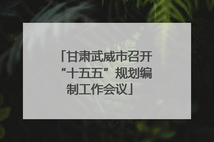 甘肃武威市召开“十五五”规划编制工作会议