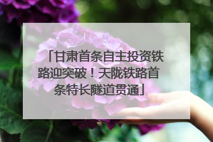 甘肃首条自主投资铁路迎突破！天陇铁路首条特长隧道贯通