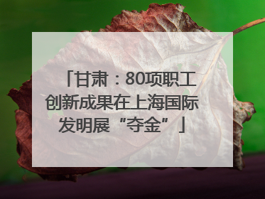 甘肃：80项职工创新成果在上海国际发明展“夺金”