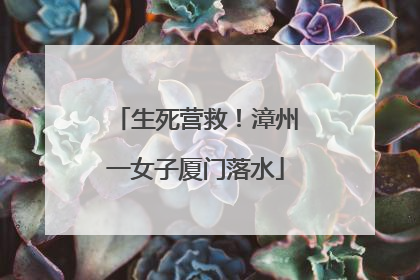 生死营救！漳州一女子厦门落水