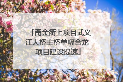 甬金衢上项目武义江大桥主桥单幅合龙 项目建设提速