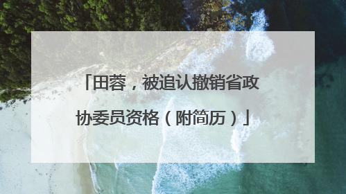 田蓉，被追认撤销省政协委员资格（附简历）