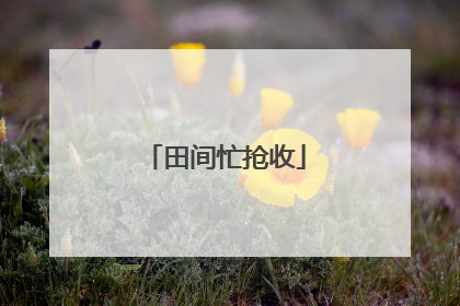 田间忙抢收