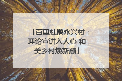 百里杜鹃永兴村：理论宣讲入人心 和美乡村焕新颜